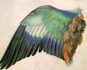 阿尔弗雷德 丢勒 : Wing of a Roller